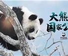全国生态日丨峨影集团“大熊猫生态文化”影片的创制之路