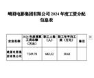 峨眉电影集团有限公司2024年度工资分配信息表